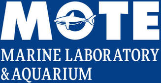 Mote Marine Laboratory & Aquarium